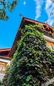 Туры в отель Lijiang Palace Hotel