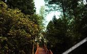 Туры в отель Horizon Resort & Spa Changbai Mountain