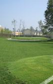 Туры в отель Yufu Hot Springs Hotel