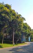 Туры в отель Quanzhou Guesthouse