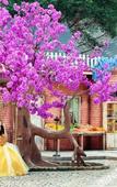 Туры в отель Yinxian Resortel