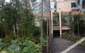 Туры в отель Yinxian Resortel
