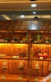 Туры в отель Grace Spring Hotel