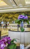 Туры в отель Foshan Sanshui Hot Spring Resort