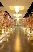 Туры в отель Xana Deluxe hotel (Changlong Branch, Hanxi, Panyu, Guangzhou)
