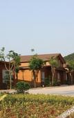 Туры в отель Dreamland Resort Hotel