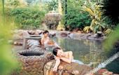 Туры в отель Xinyinzhan Hot Spring Holiday Resort