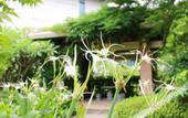 Туры в отель Xiamen Software Park Fliport Hotel