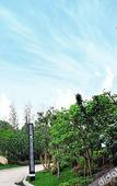 Туры в отель Suzhou Xiangshan International Hotel