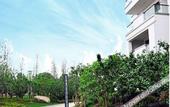 Туры в отель Suzhou Xiangshan International Hotel