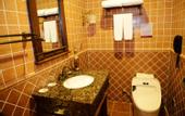 Туры в отель Dayi Yiho Hotel