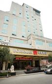 Туры в отель Borrman Hotel (Guilin Two Rivers And Four Lakes Elephant Trunk Hill Scenic Area)