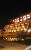 Туры в отель Tang Paradise Hotel