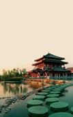 Туры в отель Tang Paradise Hotel