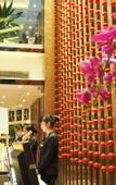 Туры в отель Liwan International Hotel