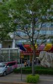 Туры в отель Crystal Island Hotel