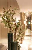 Туры в отель Crystal Island Hotel