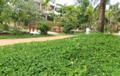 Туры в отель Le Belhamy  Hoi An