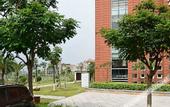 Туры в отель Xing Lin Wan Hotel