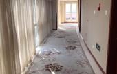 Туры в отель Xing Lin Wan Hotel