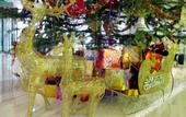 Туры в отель The Jade Boutique Hotel
