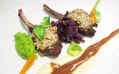 Туры в отель The Jade Boutique Hotel