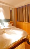 Туры в отель Tiangang Manfei Hotel (Ningbo Railway Station Lianfeng Metro Station Branch)