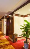 Туры в отель Peacock Hotel
