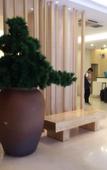 Туры в отель Harbin Plato Hotel