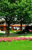 Туры в отель Bangchui Island Hotel