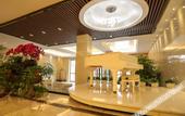 Туры в отель Cygnus International Hotel