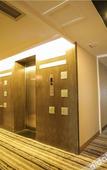 Туры в отель Cygnus International Hotel
