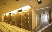 Туры в отель Cygnus International Hotel