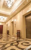 Туры в отель Cygnus International Hotel