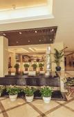Туры в отель Cygnus International Hotel