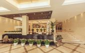 Туры в отель Cygnus International Hotel