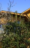 Туры в отель Suzhou Tongri Hanyuan Hubin Resort Hotel