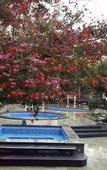 Туры в отель Suzhou Tongri Hanyuan Hubin Resort Hotel