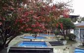 Туры в отель Suzhou Tongri Hanyuan Hubin Resort Hotel