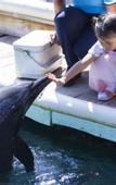 Туры в отель Boundary Island Sea Fishing Club