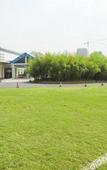 Туры в отель Taizhou Chunlan Guest House Old Street Branch