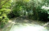 Туры в отель Taizhou Chunlan Guest House Old Street Branch