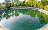 Туры в отель Pearl-spring Hotel