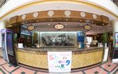Туры в отель Pearl-spring Hotel