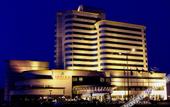 Туры в отель Ningbo Zoyi Grand Hotel