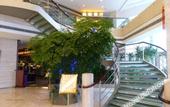Туры в отель Tianze Enjoy Hotel