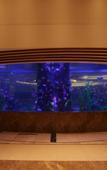 Туры в отель Tianmuhu Hotel