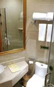 Туры в отель Vienna Hotel (Chengdu Chunxi Road Lijiatuo Metro Station)