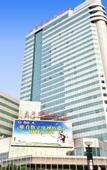 Туры в отель South Pacific International Hotel