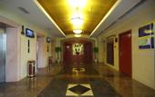 Туры в отель South Pacific International Hotel